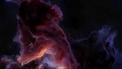 What makes you happy