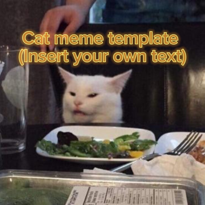 Cat meme template 