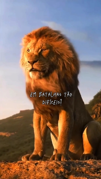 Hoje eu perguntei...