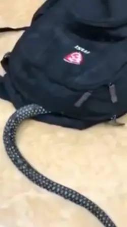 Sexta feira 13