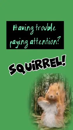 Squirrel! Dance