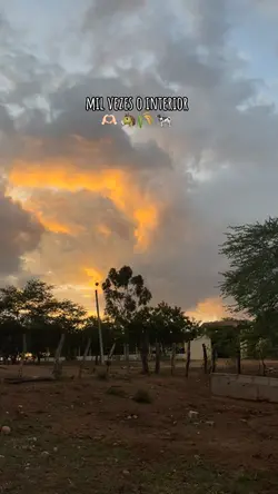 Mil vezes o interior