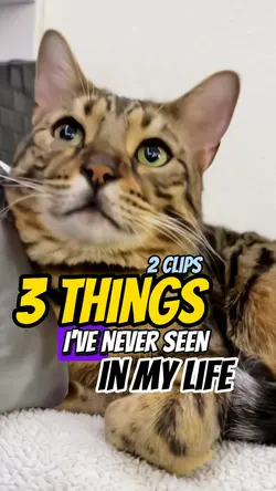 3 things never seen