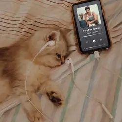 Music Player