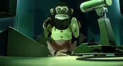 Trend Macaco ❗️⚠️💥