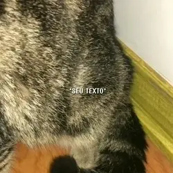 *legenda legal aqui*