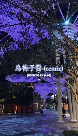 烏梅子醬-(remix)