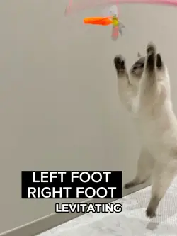 levitating tt trend