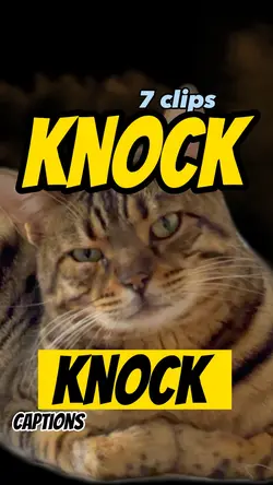 Knock knock!