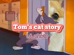 I like Tom too much.