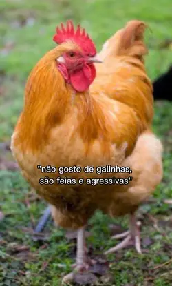 amo vc amiga kkkkk