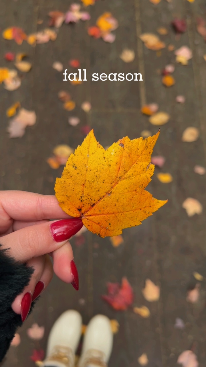 Mini vlog🍁🍂