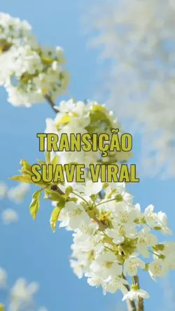 TRANSIÇÃO VIRAL 