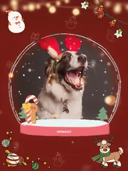 Snow Globe ❄️