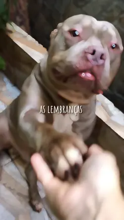 mas vc nao ta aqui💔