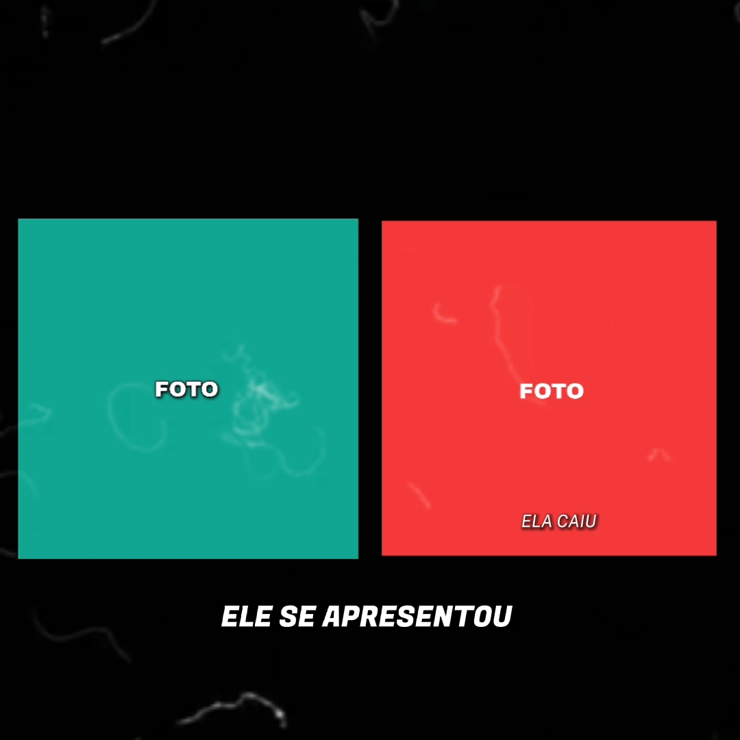 Ele se apresentou 