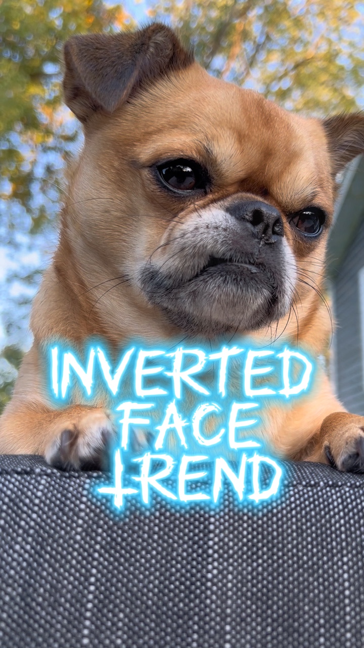 Inverted Face 