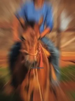 cai fora playboizinh