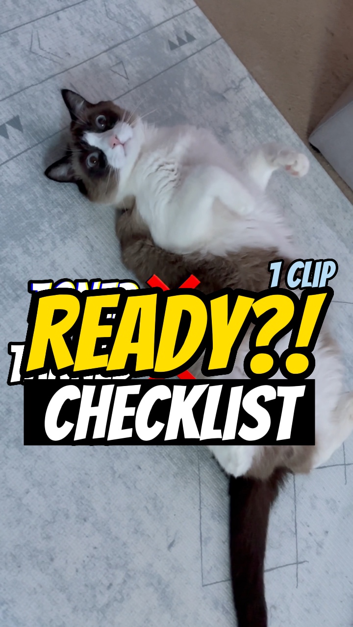 준비 체크리스트!