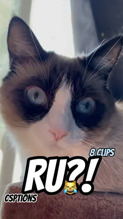 Are you?! 