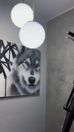 Studio Model