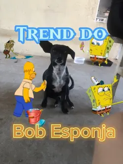 Trend bob esponja 