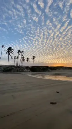 pediram sem filtro