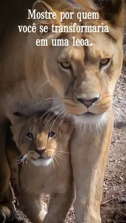 mãe protetora