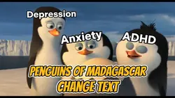 Penguins Meme