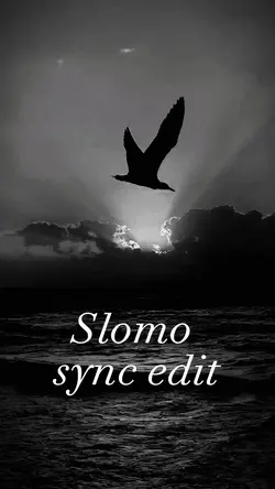 Slomo sync edit