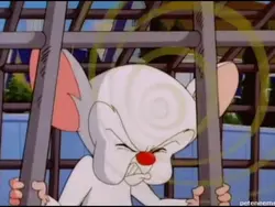 Pinky and the Brain 