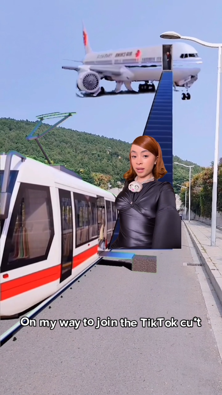 Flug-Meme ✈️