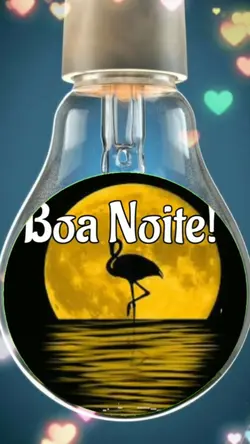 Boa noite