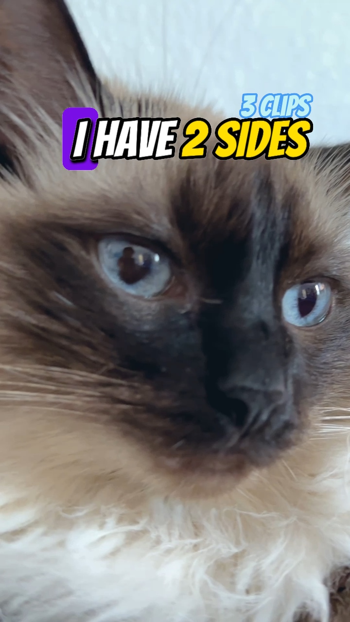 I have 2 sides