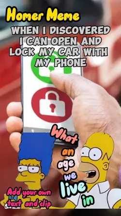Homer Meme