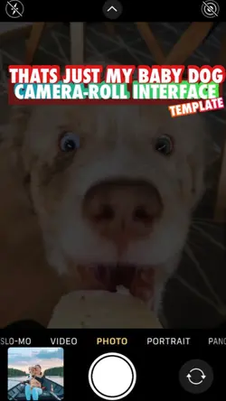 My baby dog 🐶❤️