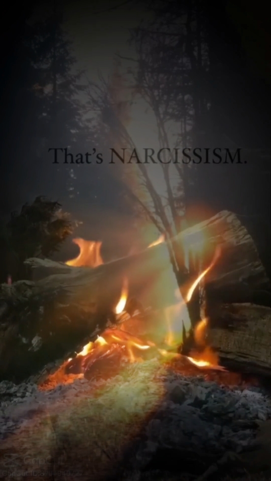 Narcissist 