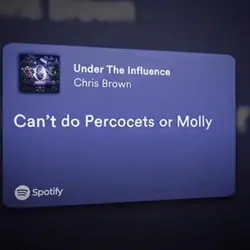 Spotify Lyrics 