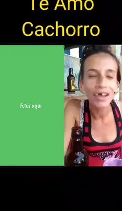 cachorro