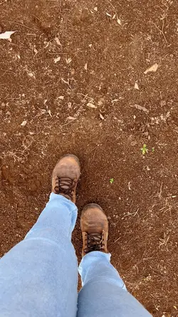 Várias transições 