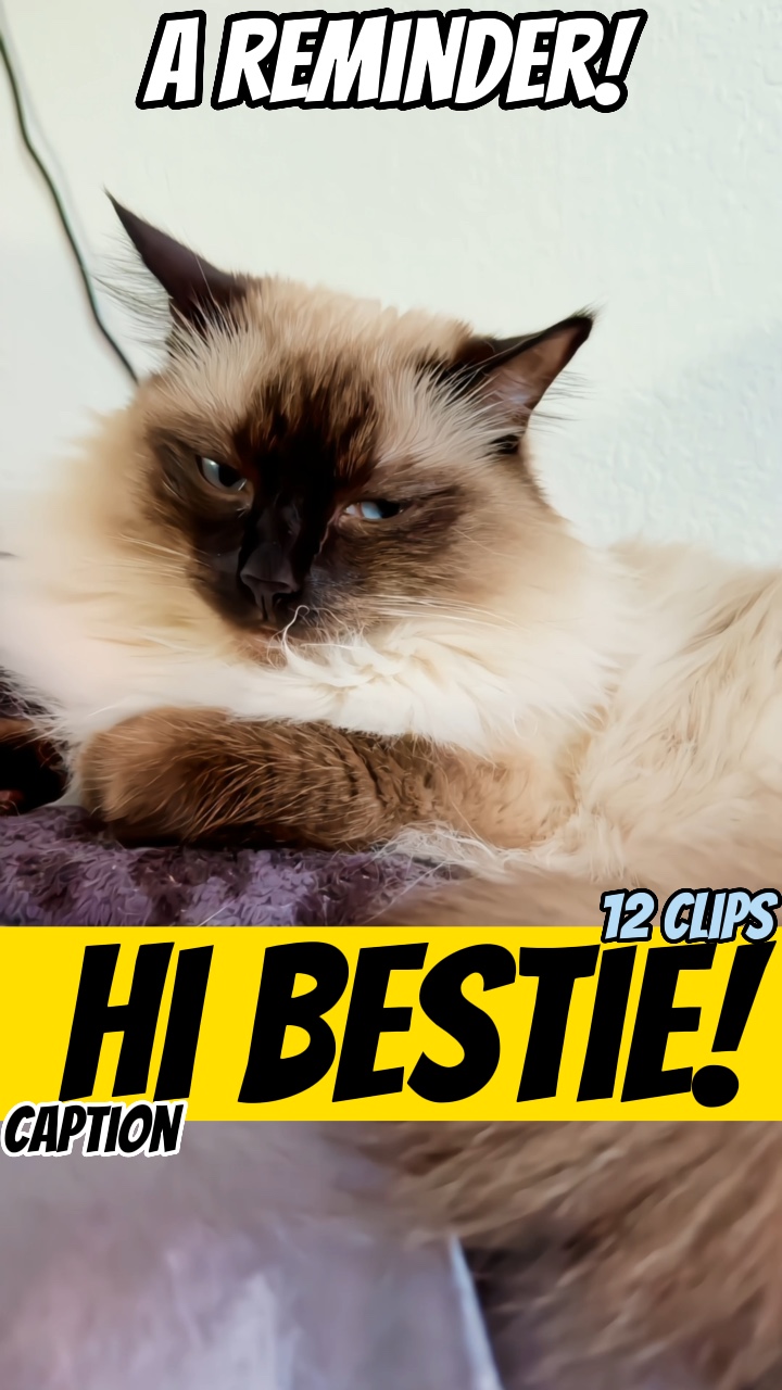 Hallo beste Freundin!