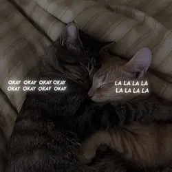 Trend okok/lala