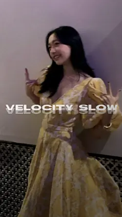 VELOCITY SIMPLES
