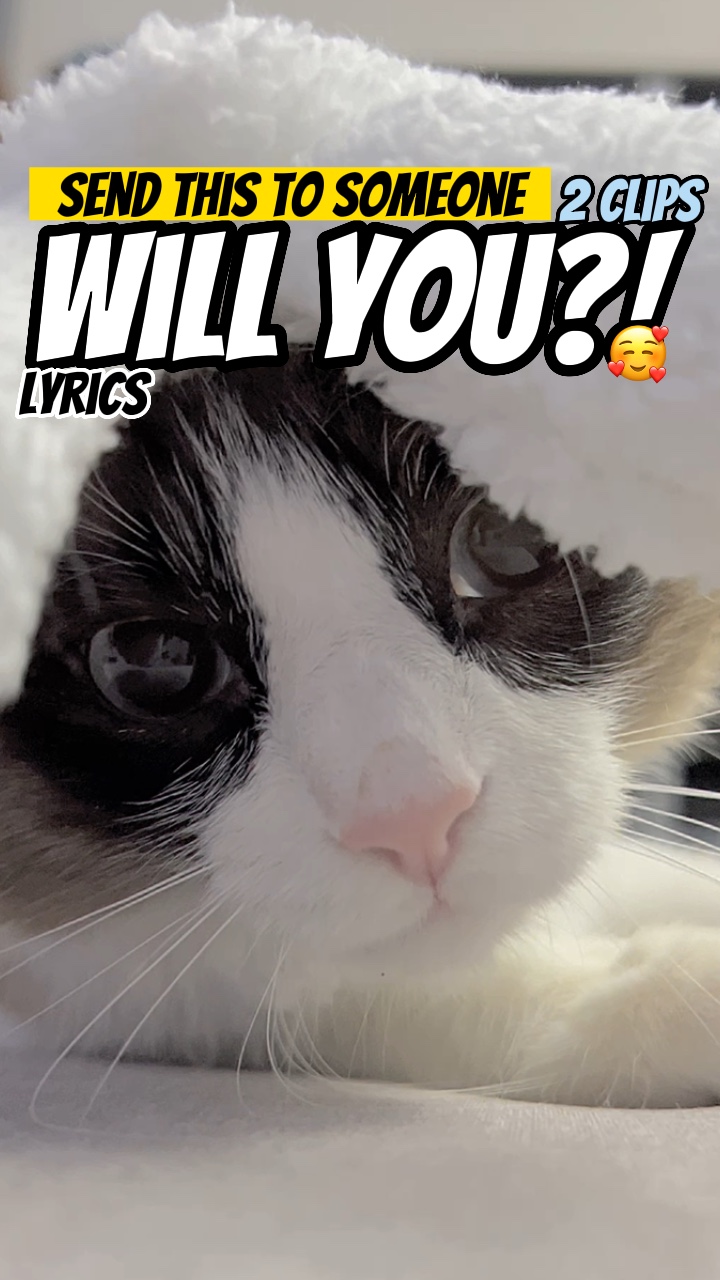 Voulez-vous?!