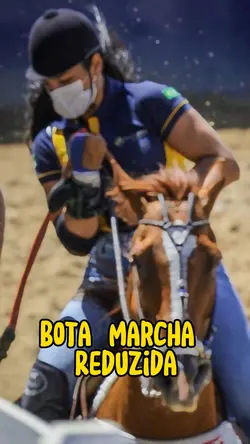 Piseiro vaqueiro