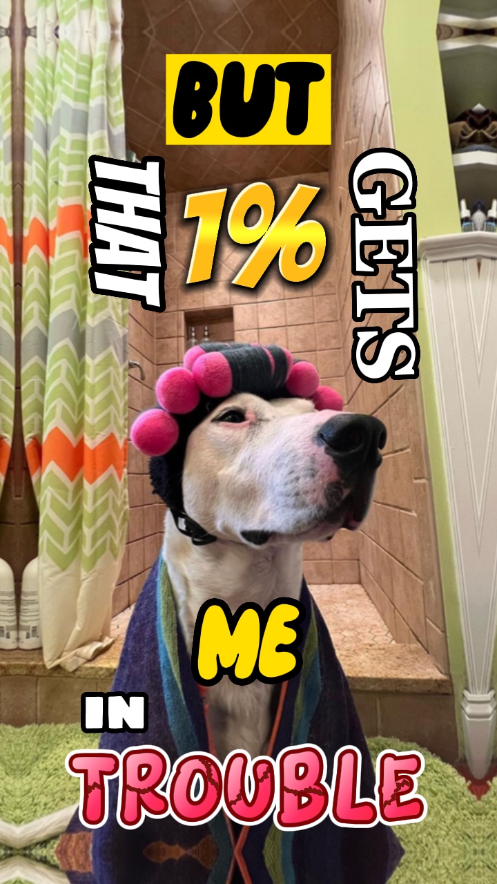 99% angel