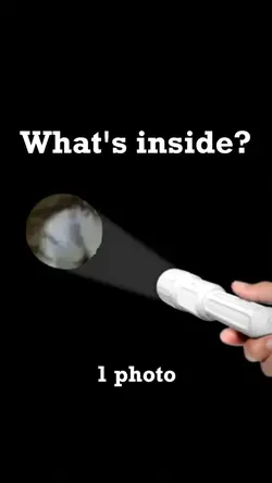 What's inside?