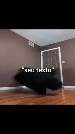 seu texto