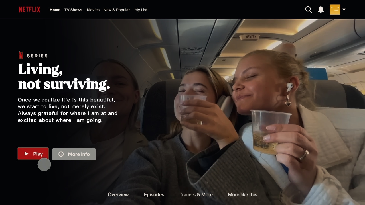 Interface Netflix 