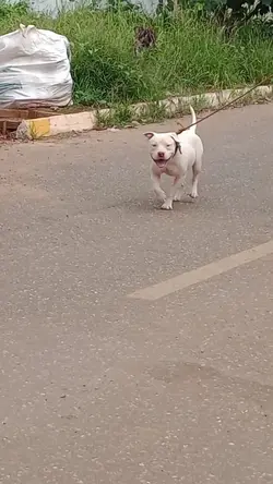esse aq é o xarope